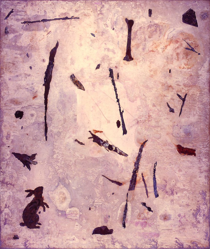 Untitled (Rabbit, bone and fragments with white background)